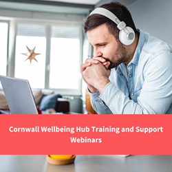 man watching video on laptop, text reads "cornwall wellbeing hub training and support webinars"