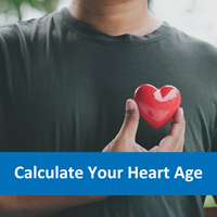 image of a man holding a plastic heart in front of his chest, text over the top reads "calculate your heart age"