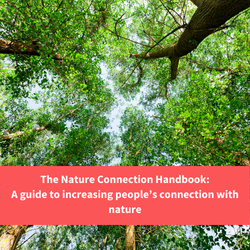 a cannopy of trees, text reads "Nature connection handbook: a guide to increasing peoples connection with nature"