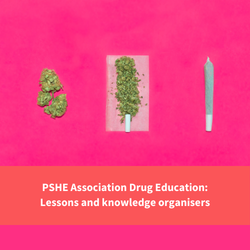 image of cannabis, text reads "pshe drug education"