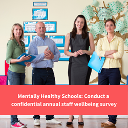 group of teachers stand together, text reads "mentally healthy schools, Conduct a confidential annual staff wellbeing survey"