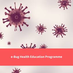 text reads "ebug health education programme"