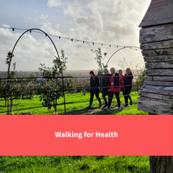 healthy cornwall staff walking at newquay orchard, text reads: "Walking for Health"