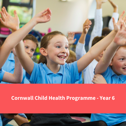 text reads "cornwall child health programme - year 6"